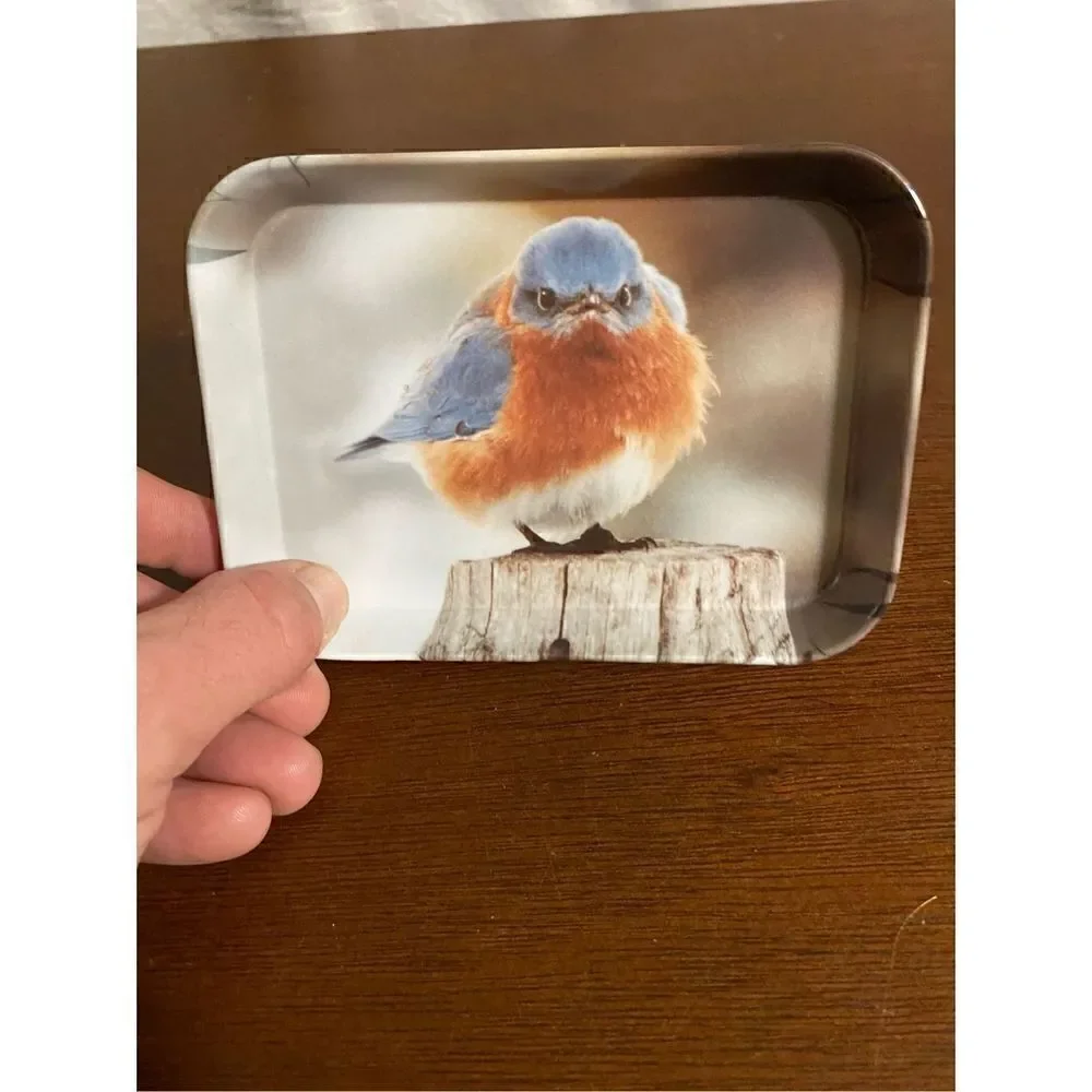 Vintage Eklund’s Ltd 1979 max blue bird vanity tray made in Italy